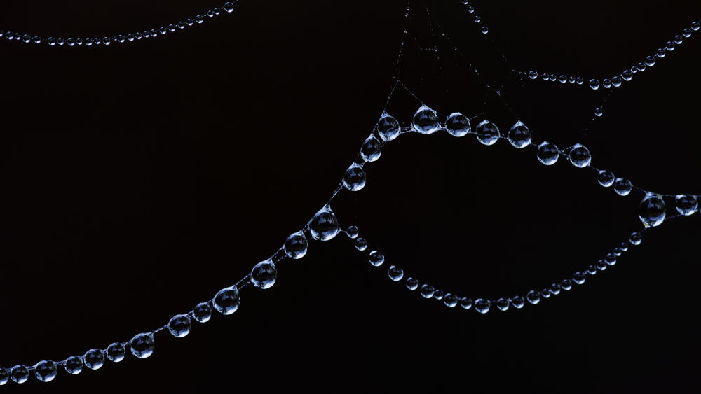 2. Platz Robert Seitz